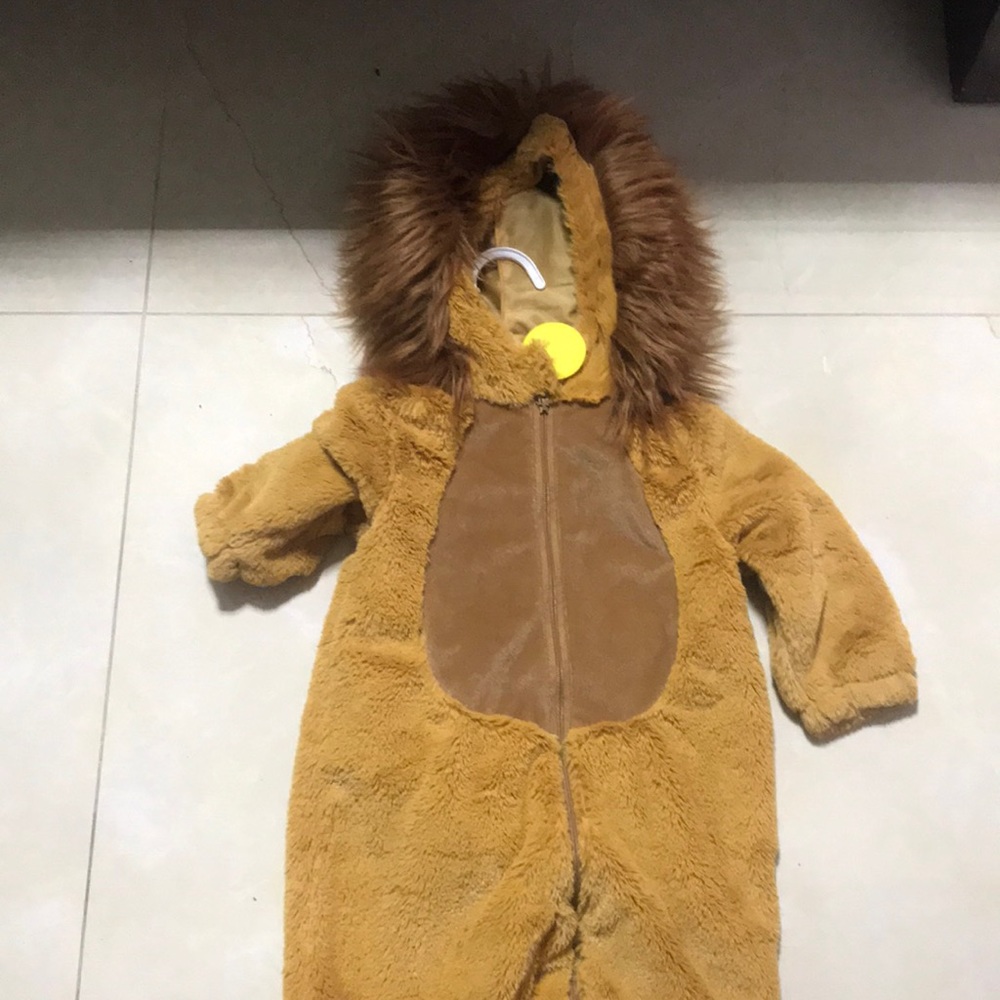Lion costume